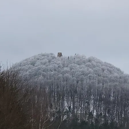 Müllers Nest Сasa de vacaciones Nothweiler